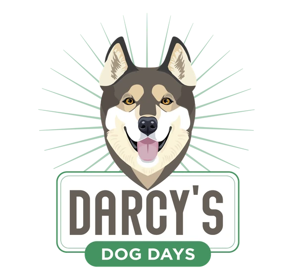 Logo concept: badge with Diego