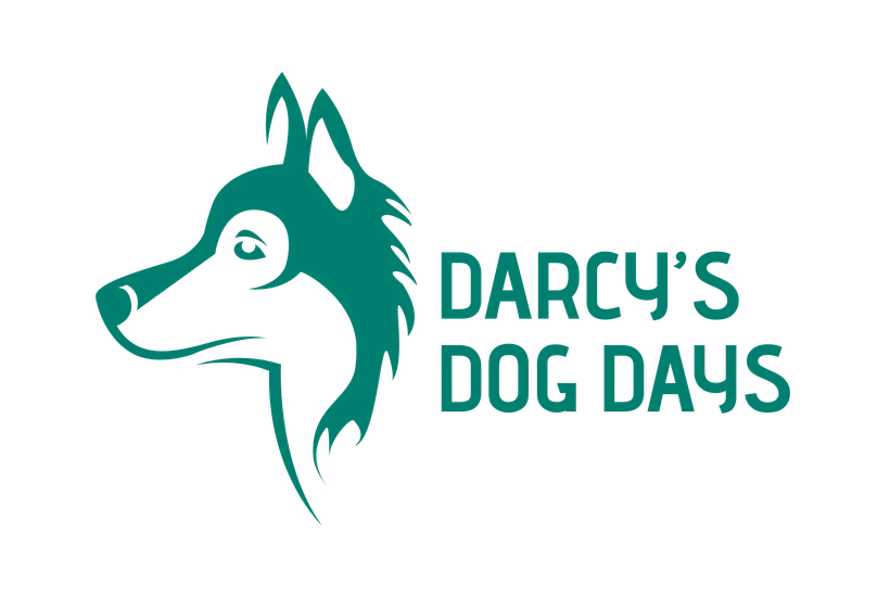 Logo concept: teal line-art husky